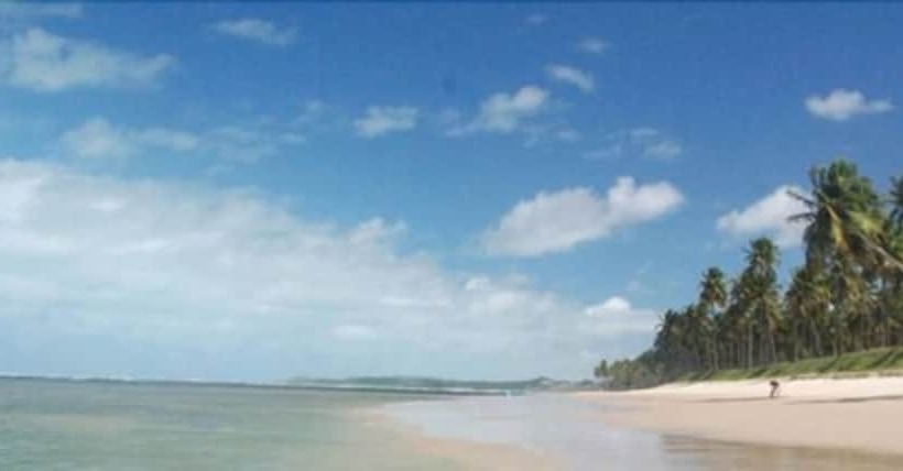 Отель Canarius D'gaibu