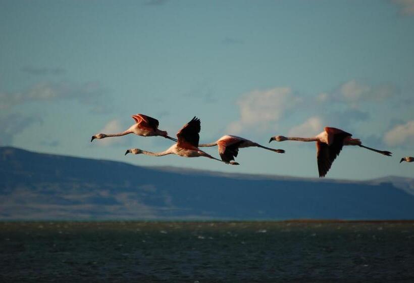 ホテル Hosteria Cauquenes De Nimez