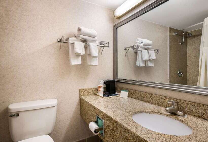 ホテル Quality Inn And Suites Fairgrounds   Syracuse