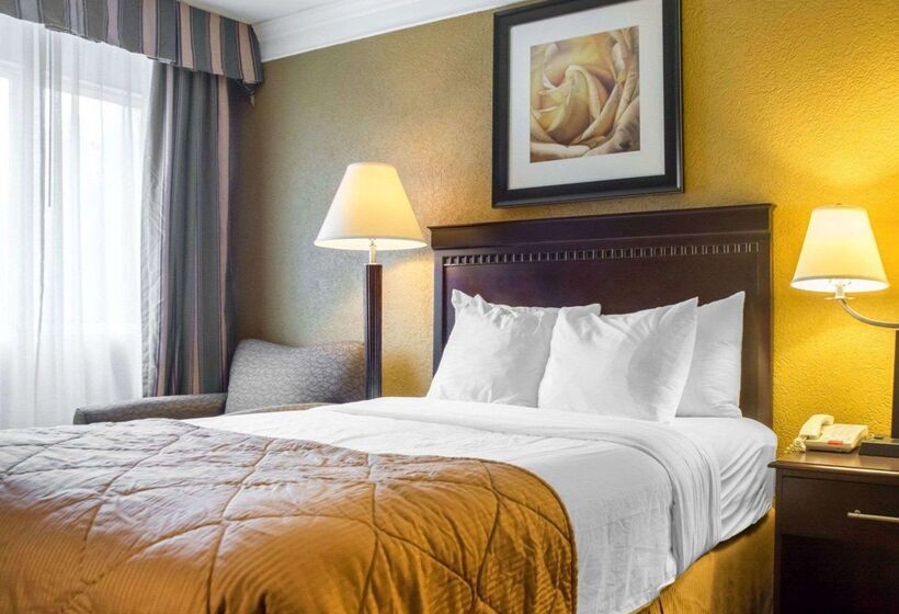 ホテル Quality Inn And Suites Fairgrounds   Syracuse