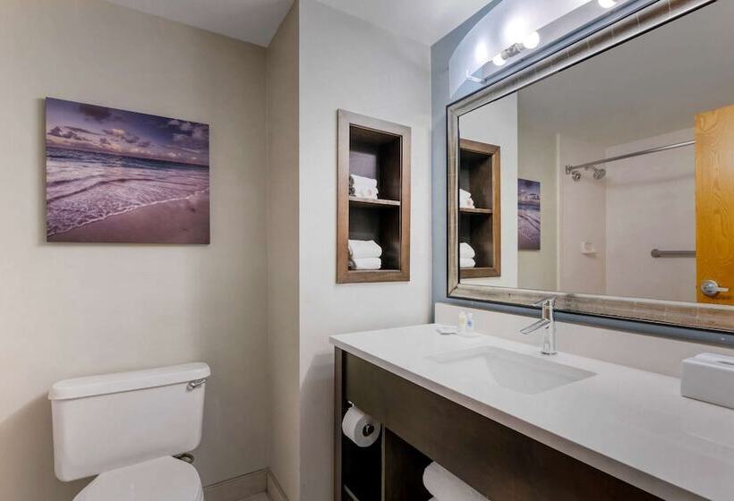 فندق Comfort Inn & Suites Melbourneviera