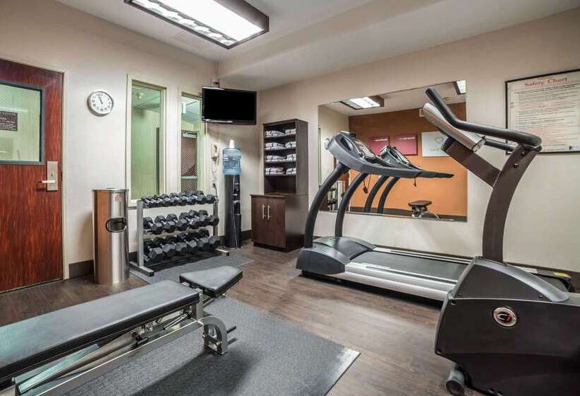 فندق Comfort Suites Airport