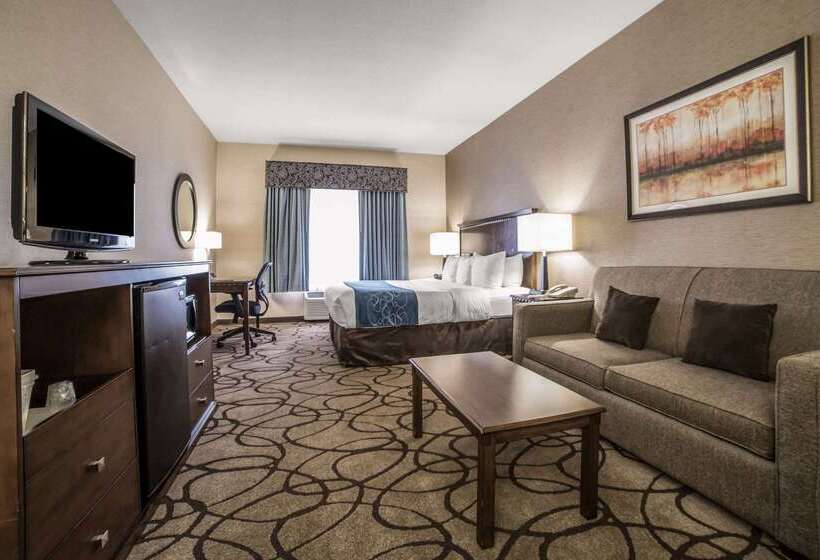 فندق Comfort Suites Airport