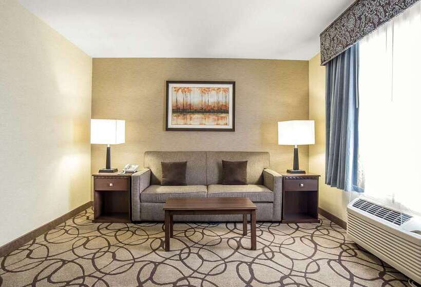 فندق Comfort Suites Airport