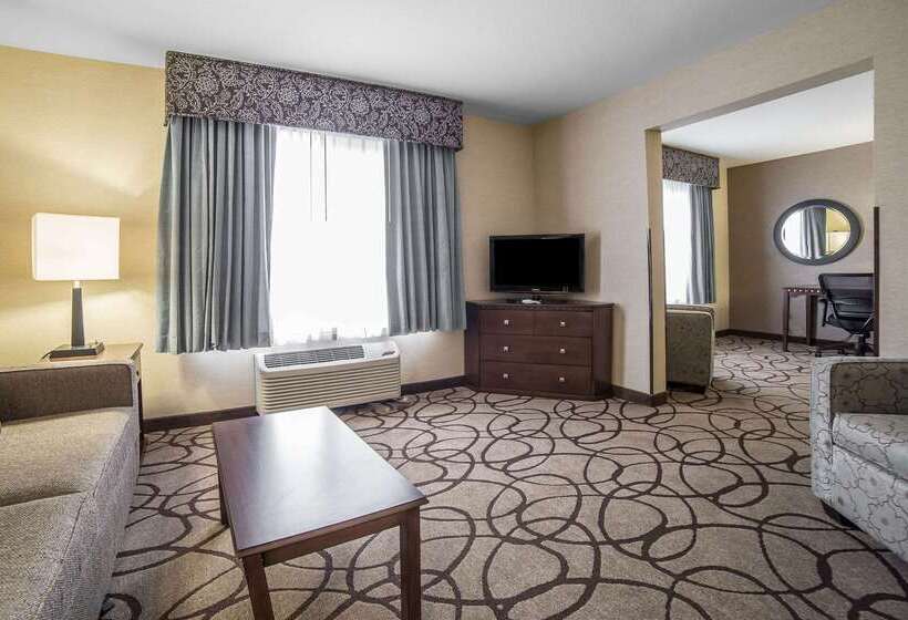 فندق Comfort Suites Airport