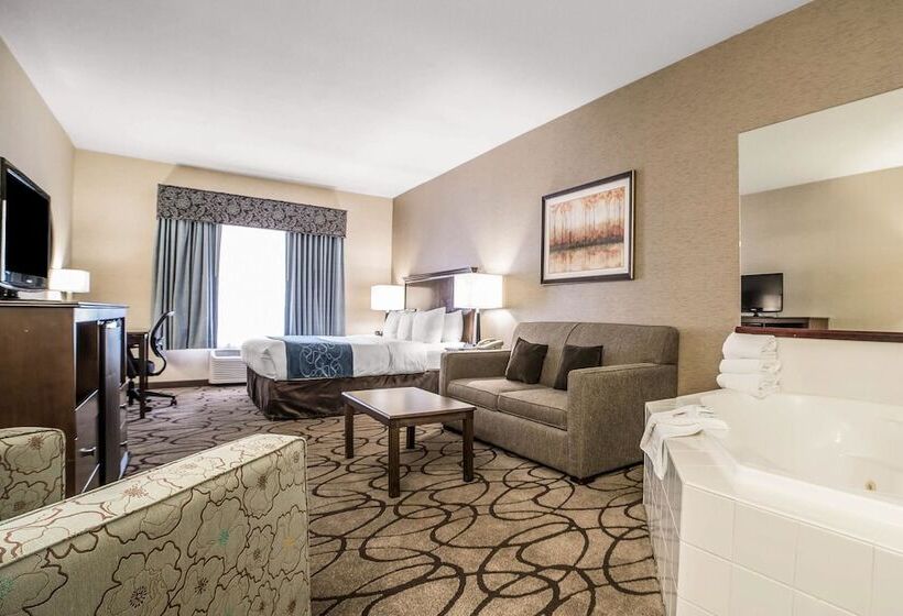 فندق Comfort Suites Airport