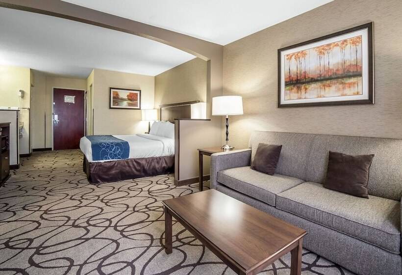 فندق Comfort Suites Airport