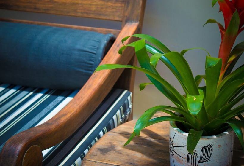 בית מלון כפרי Don Quijote Buzios