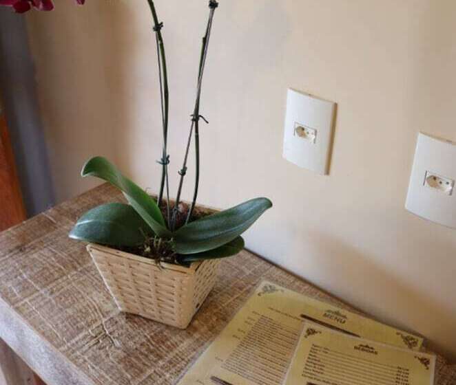 בית מלון כפרי Don Quijote Buzios