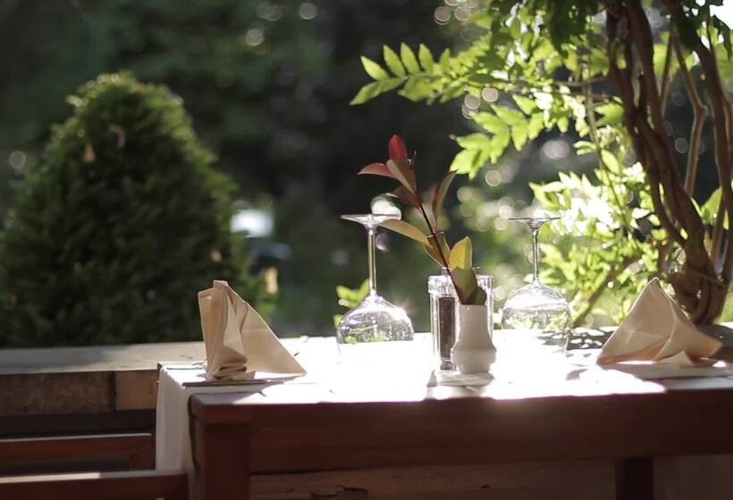 Falkensteiner Hotel Adriana   Adults Only