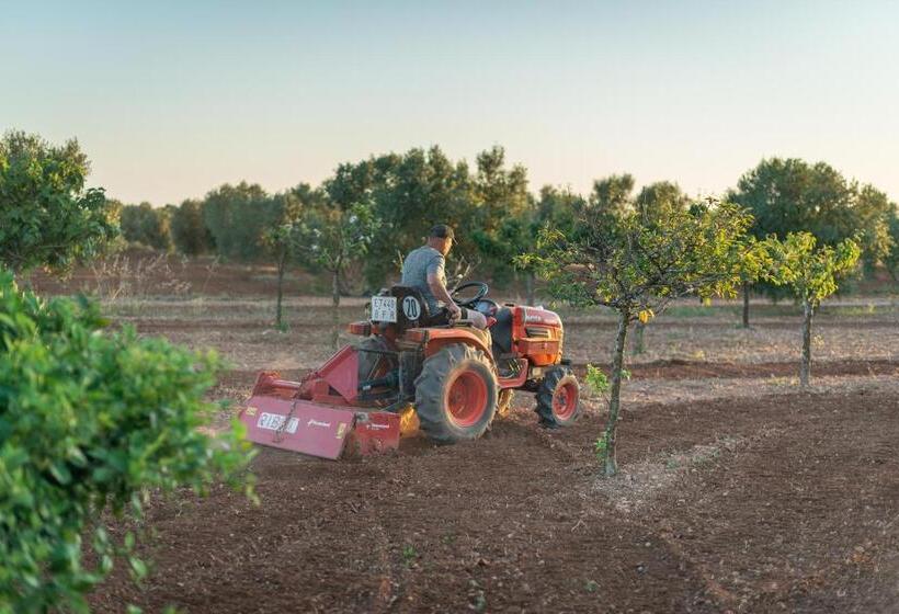 Finca Hotel Can Canals & Spa