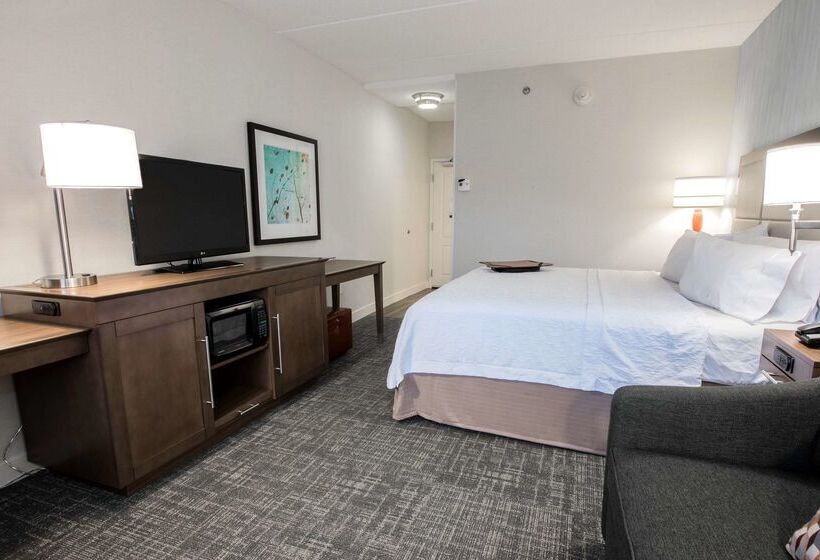 호텔 Hampton Inn Albany Western Ave/university Area