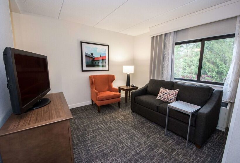 호텔 Hampton Inn Albany Western Ave/university Area