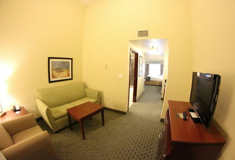 Hotel Holiday Inn Express & Suites Cocoa, An Ihg