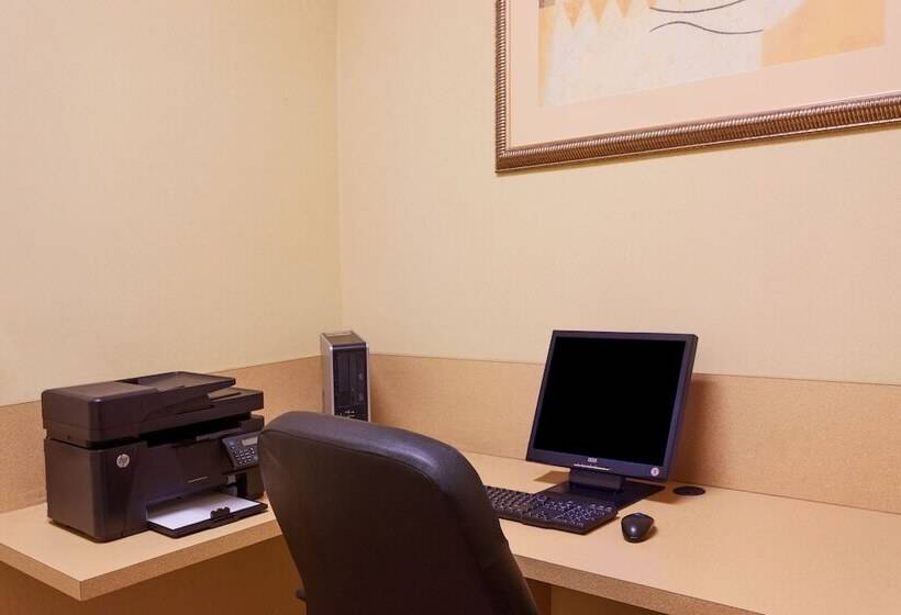 Holiday Inn Express Hotel & Suites Tampa Fairgrounds Casino, An Ihg