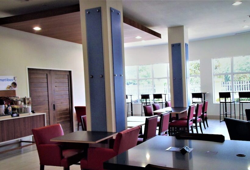 Holiday Inn Express Hotel & Suites Tampa Fairgrounds Casino, An Ihg