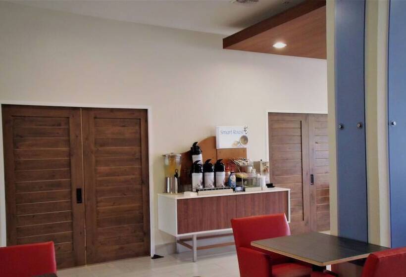 Holiday Inn Express Hotel & Suites Tampa Fairgrounds Casino, An Ihg