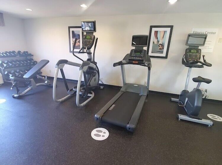 בית מלון כפרי White Pine Lodge