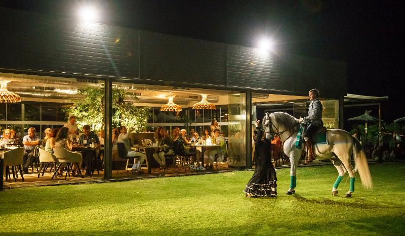 Hotel Ilunion Calas De Conil