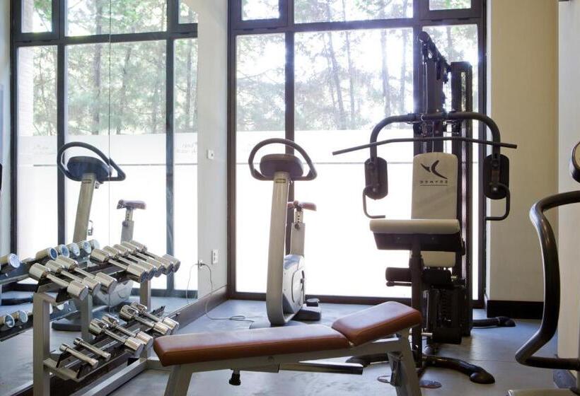 בית מלון כפרי Intelier Airén