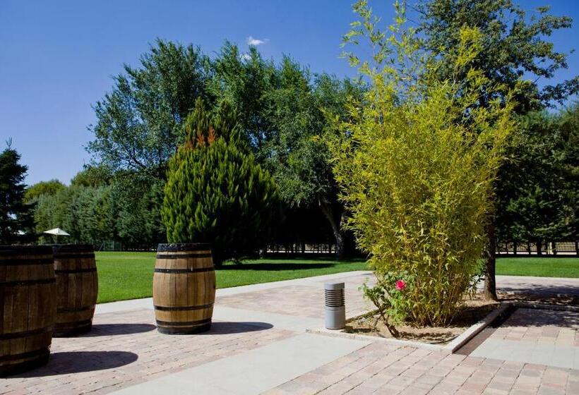 בית מלון כפרי Intelier Airén