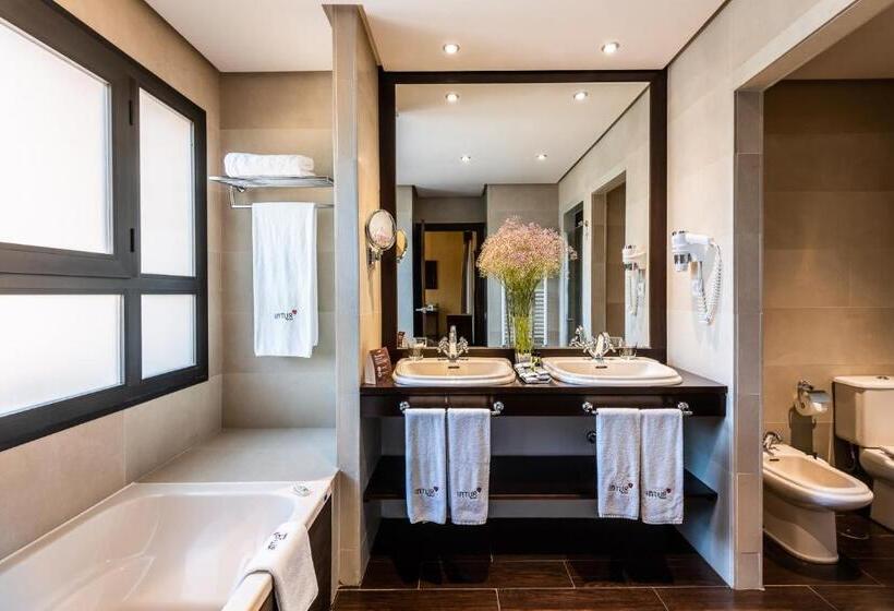 בית מלון כפרי Intelier Airén