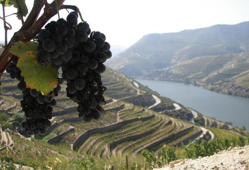 Отель La Fontaine