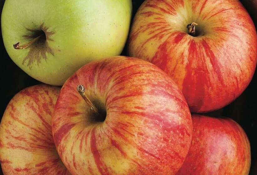 Отель La Quinta By Wyndham Fairfield Napa Valley