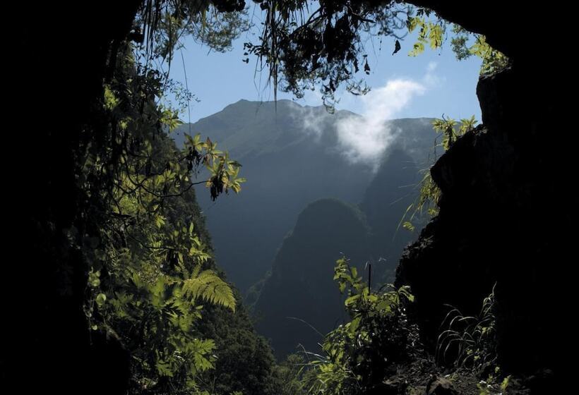 Madeira Bright Star By Petit Hotels