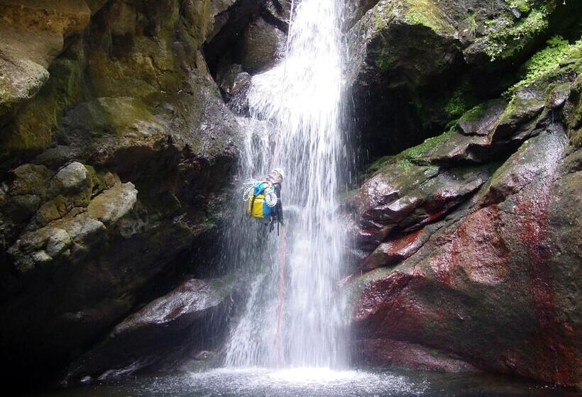 Madeira Bright Star By Petit Hotels