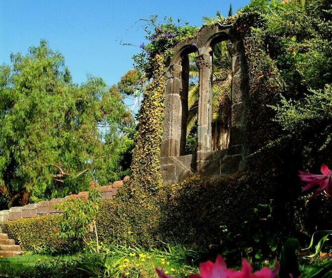 Madeira Bright Star By Petit Hotels