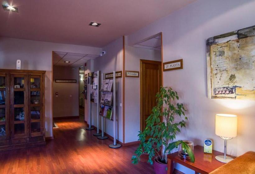 בית מלון כפרי Midama