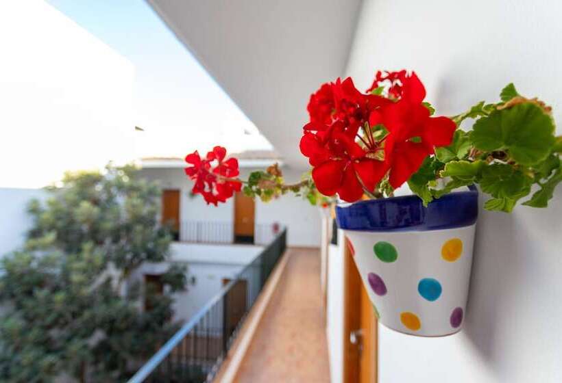 فندق Oasis Atalaya