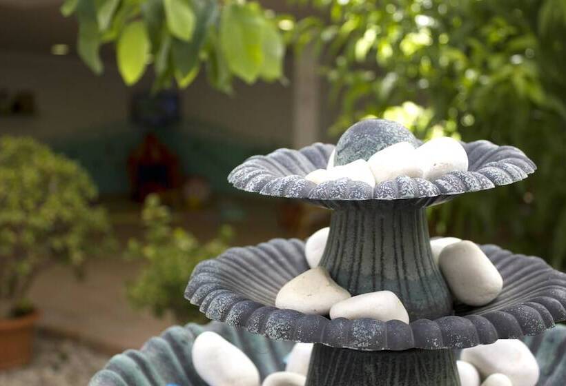 فندق Oasis Atalaya