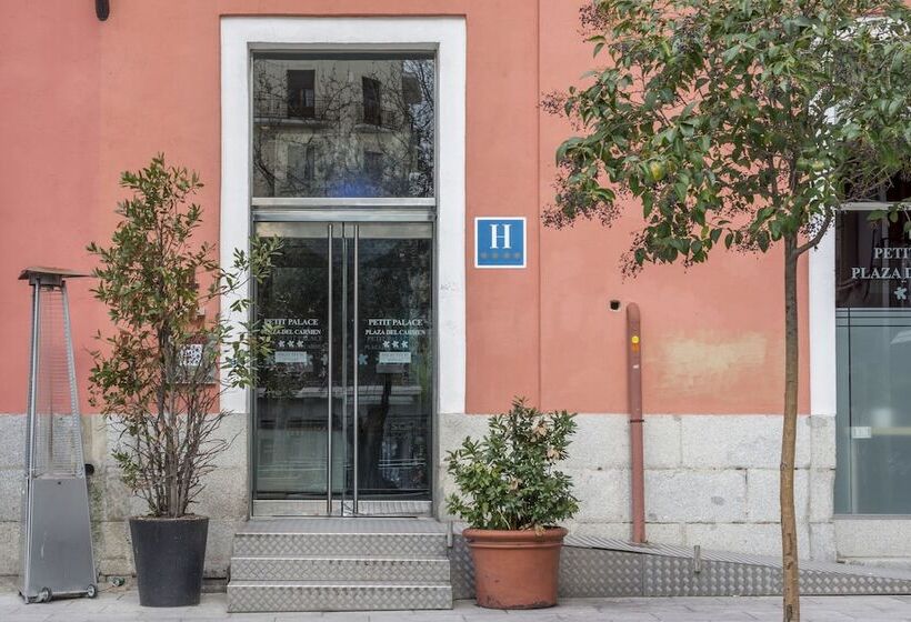 ホテル Petit Palace Plaza Del Carmen