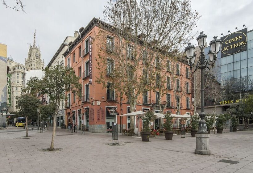 ホテル Petit Palace Plaza Del Carmen