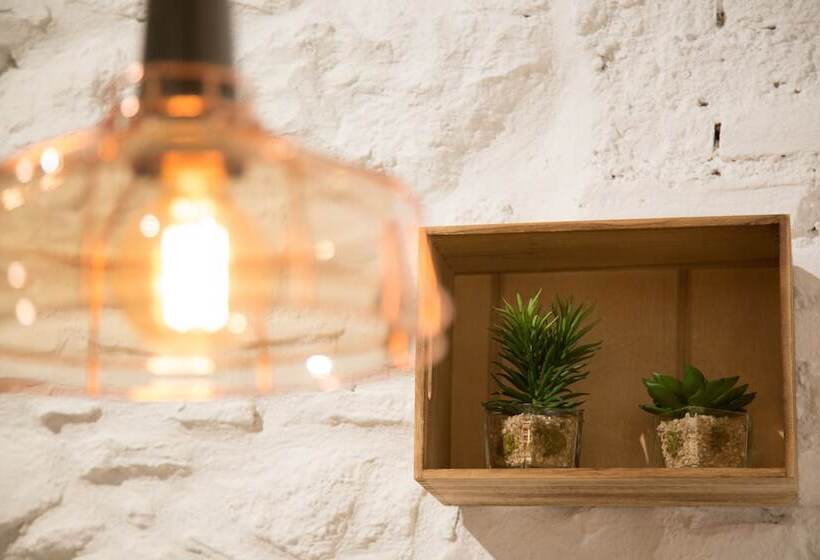 ホテル Petit Palace Plaza Del Carmen