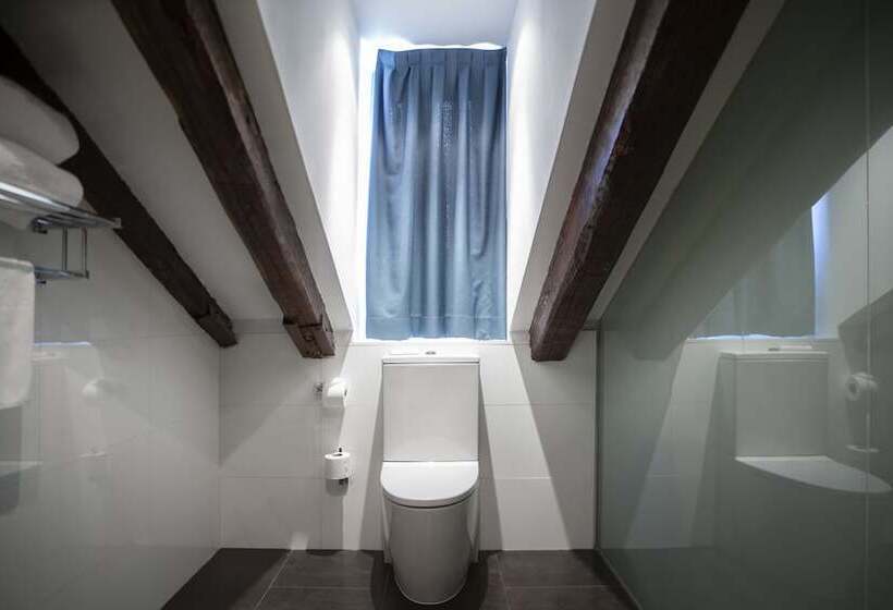 ホテル Petit Palace Plaza Del Carmen