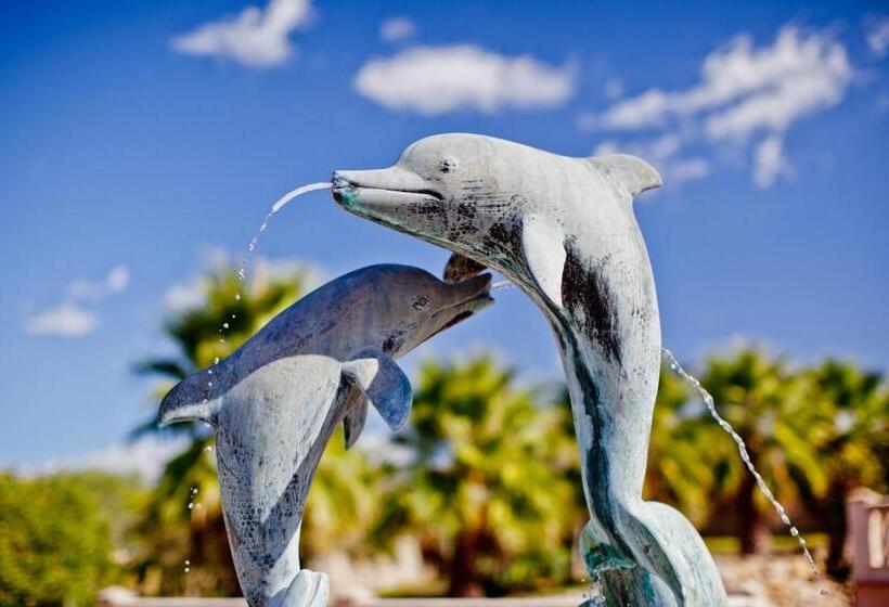 Отель Retreat Finca Son Manera