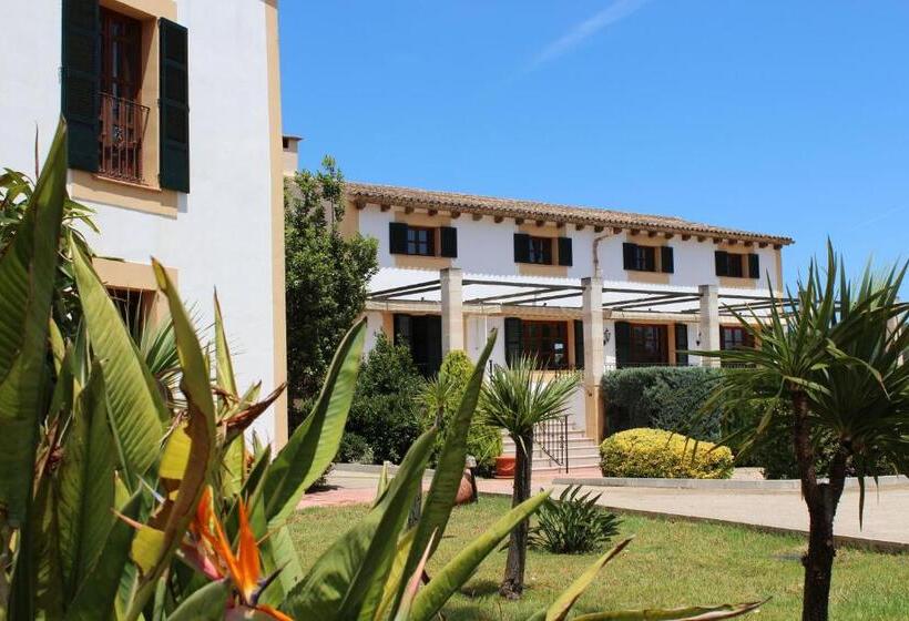 Отель Retreat Finca Son Manera