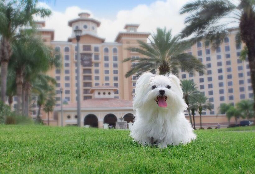 호텔 Rosen Shingle Creek