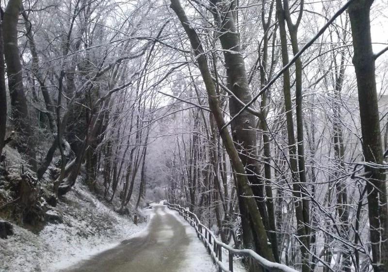 교외 호텔 El Molino del Puente