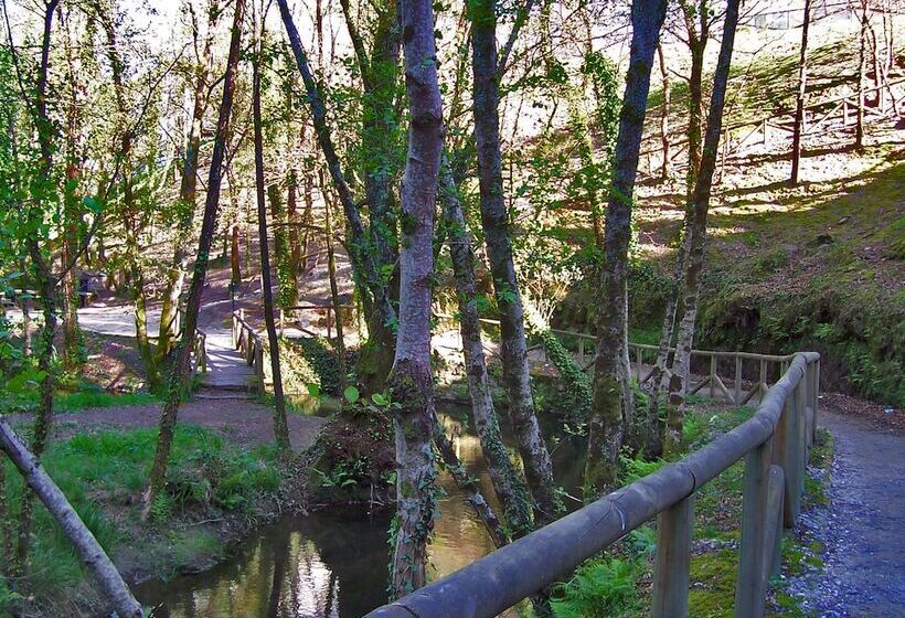 田舎風ホテル Gastronómico Casa Rosalia