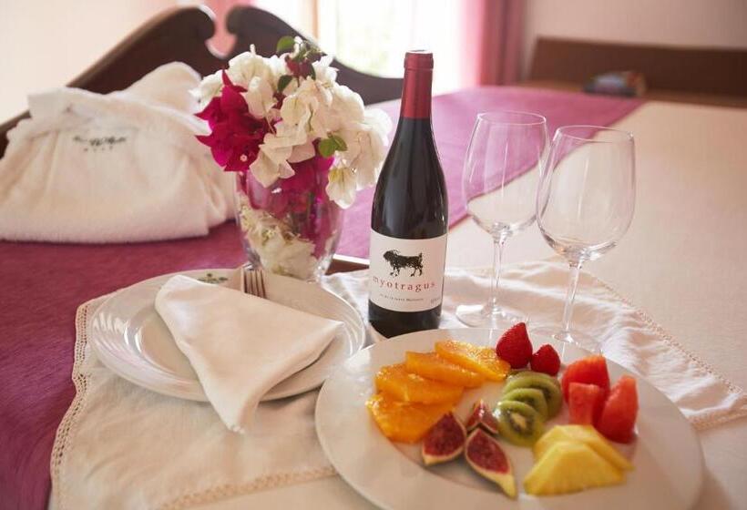 Сельский отель Son Trobat Wellness & Spa