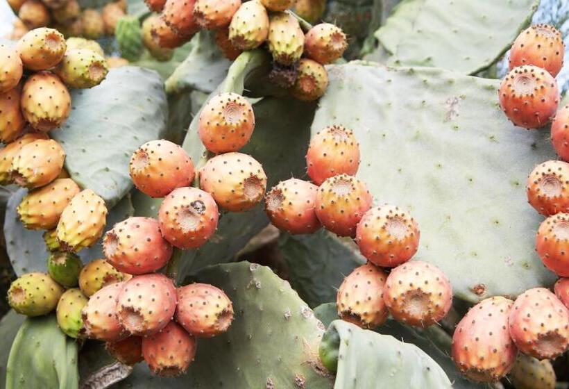 Сельский отель Son Trobat Wellness & Spa