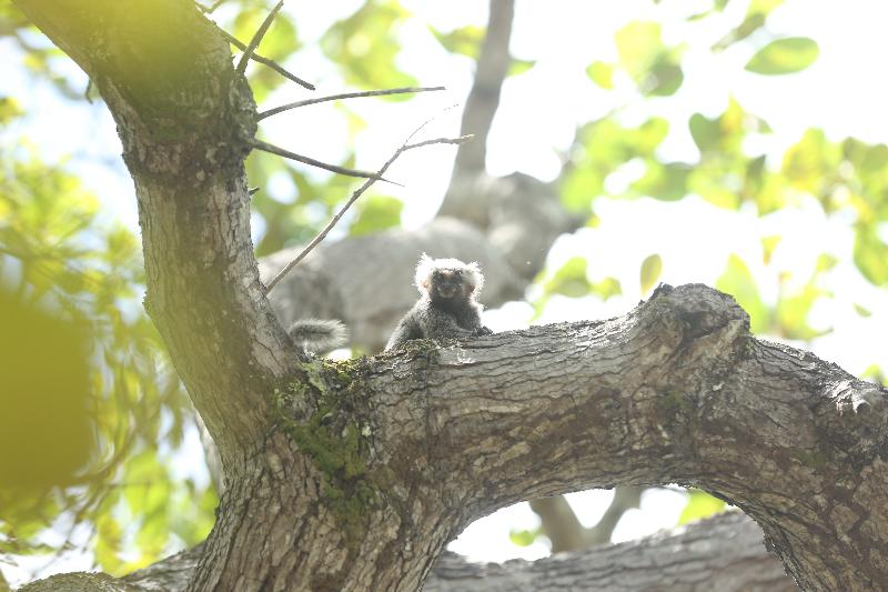 酒店 Sun Bay Pipa Hoteis