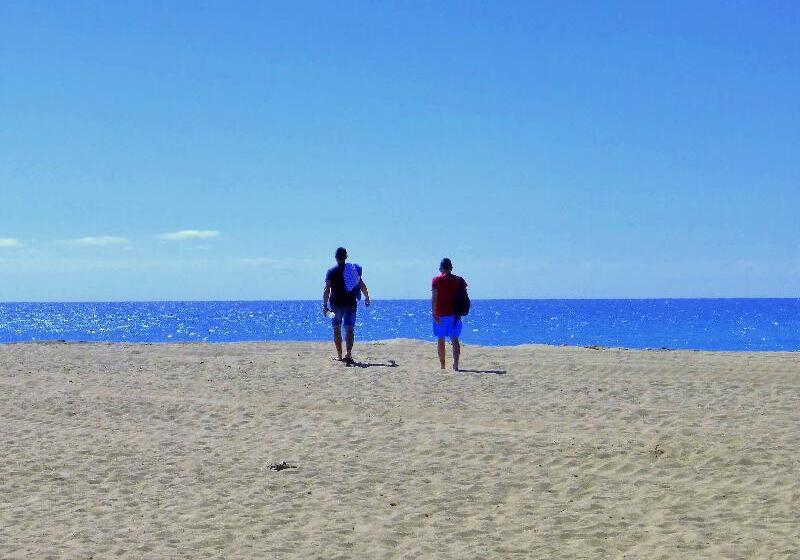 Rentalmar Pins Marina