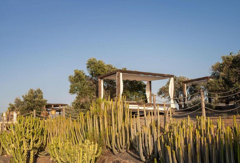 Salobre Hotel Resort & Serenity