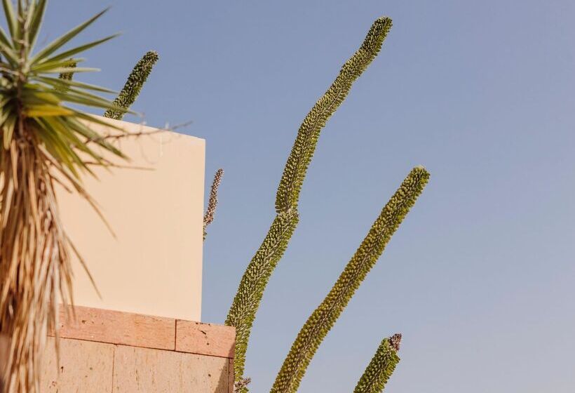 Salobre Hotel Resort & Serenity