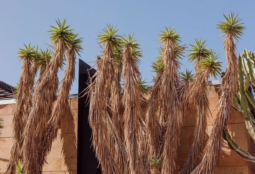 Salobre Hotel Resort & Serenity